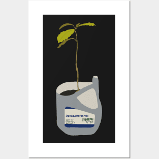 Avocado plant Posters and Art